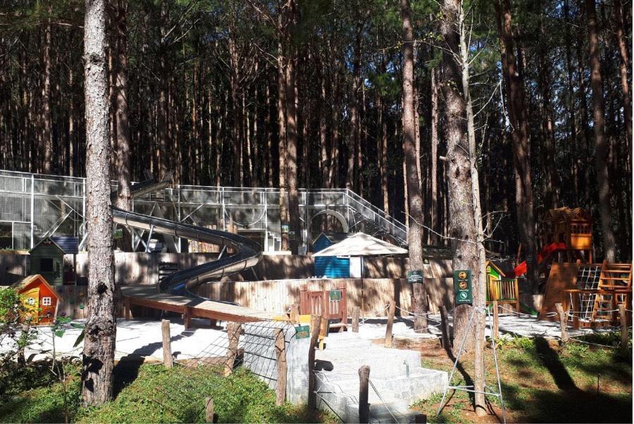 Mo Stay - Forest Resort Da Lat Exterior photo