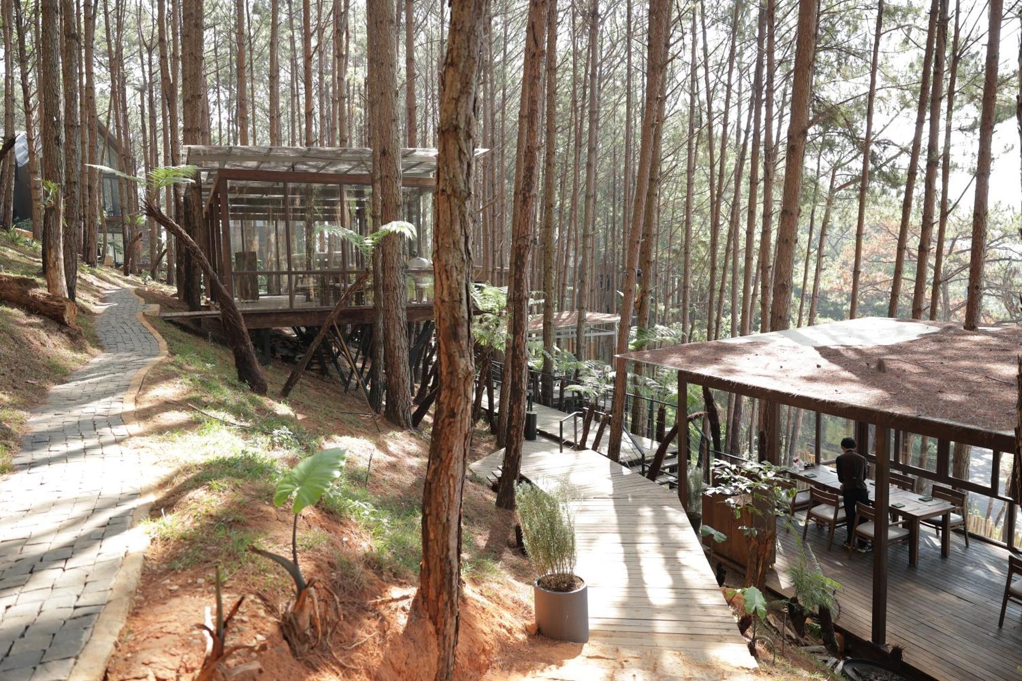 Mo Stay - Forest Resort Da Lat Exterior photo