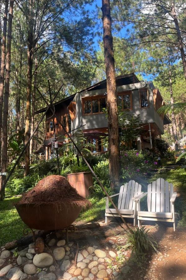 Mo Stay - Forest Resort Da Lat Exterior photo