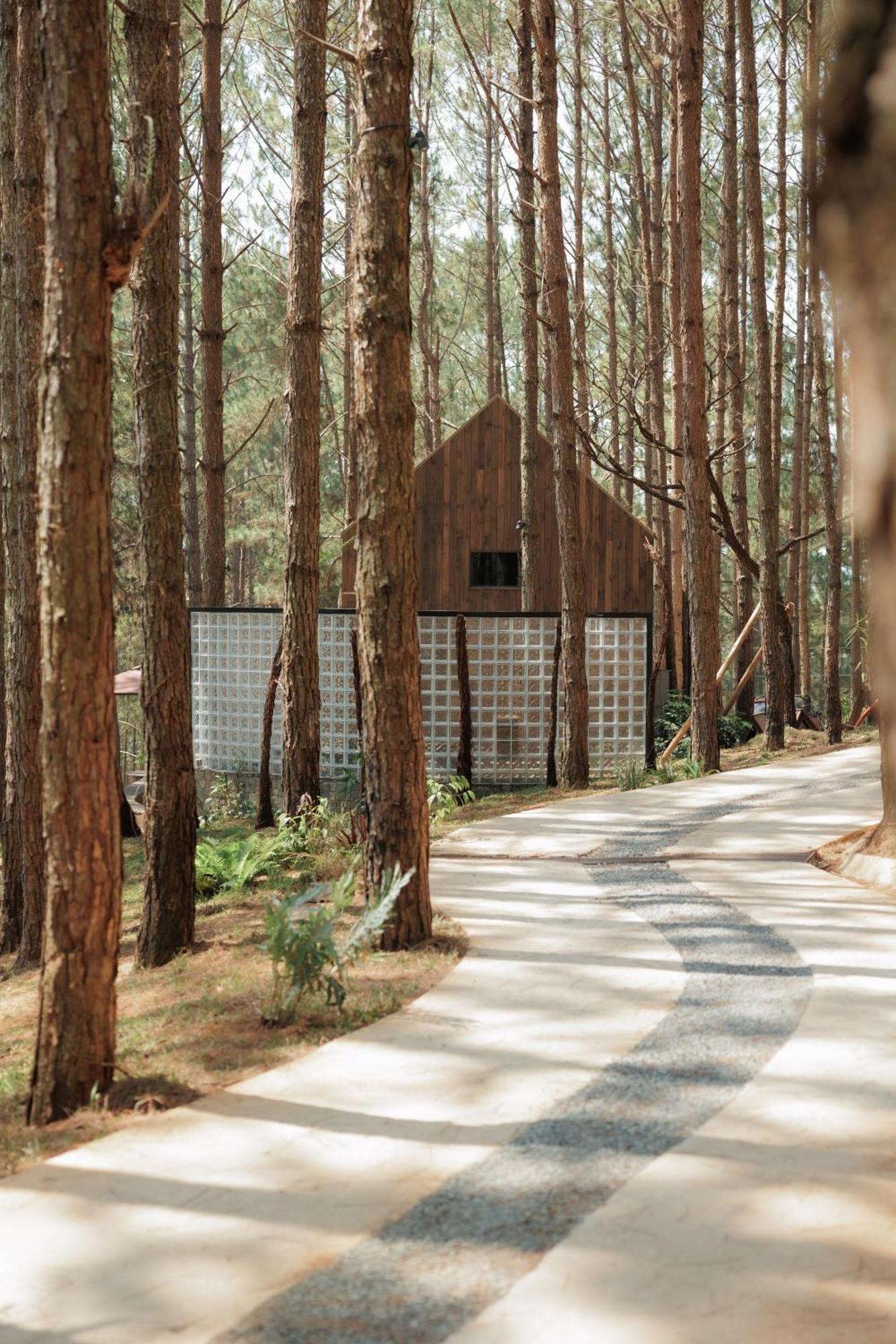 Mo Stay - Forest Resort Da Lat Exterior photo