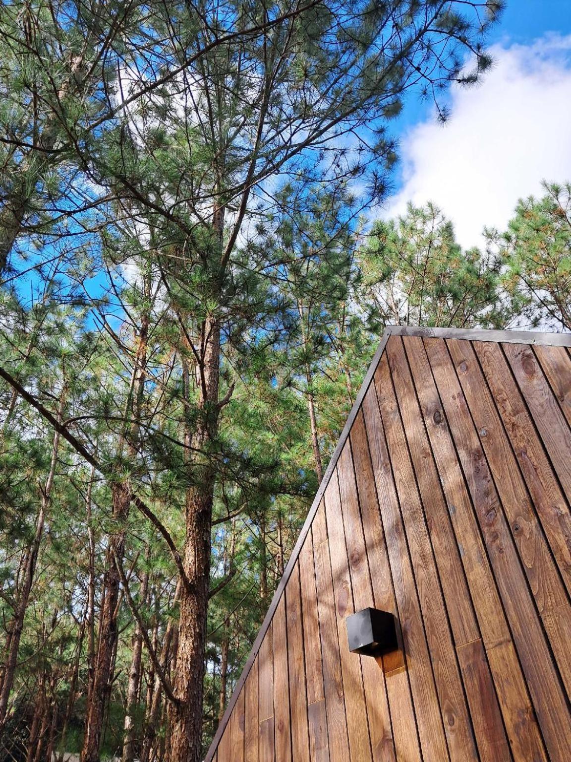 Mo Stay - Forest Resort Da Lat Exterior photo